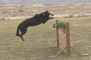 CJ_Jump28