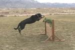 CJ_Jump26