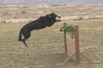 CJ_Jump28
