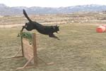 CJ_Jump3